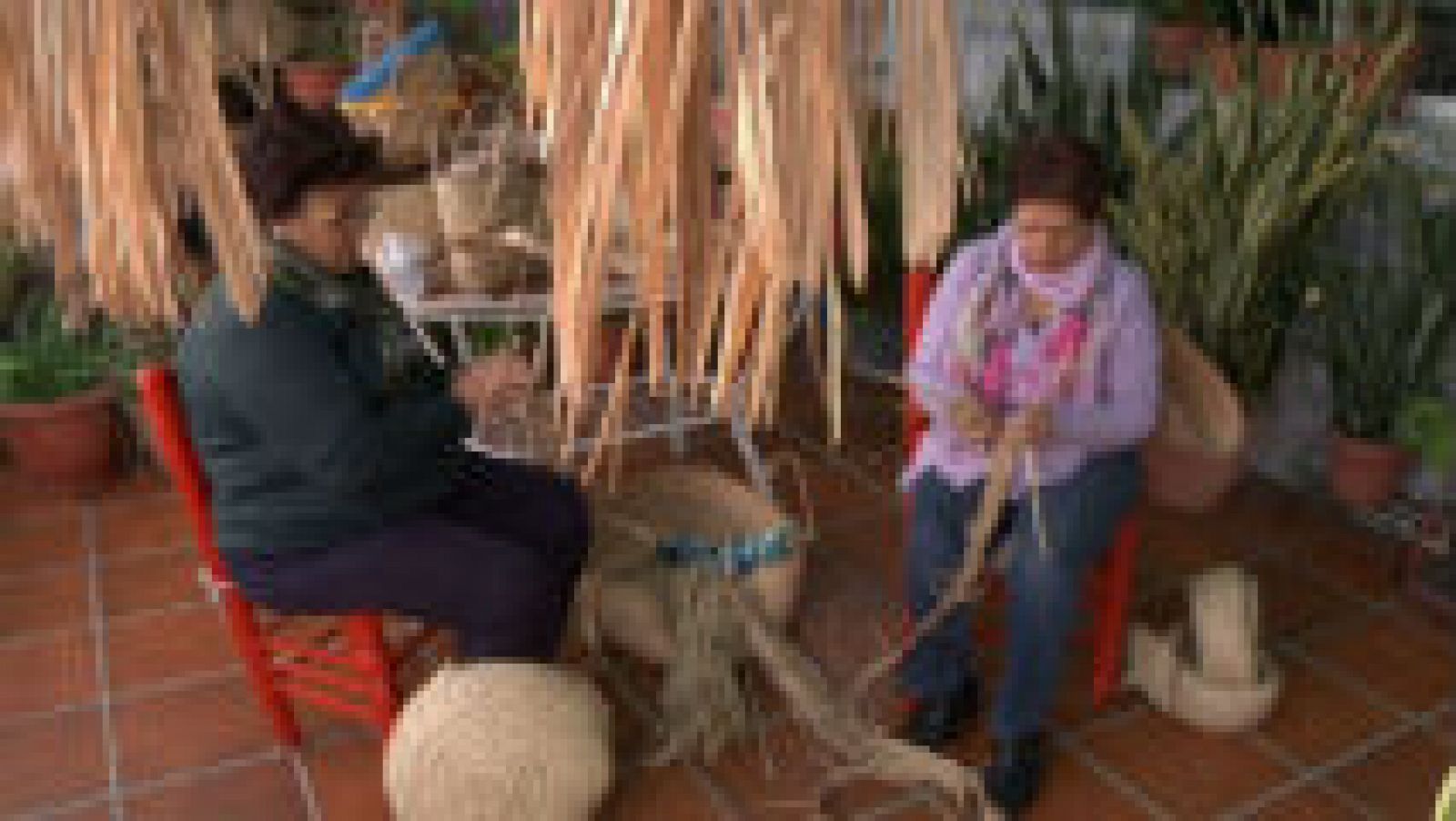 Cestería para sobrevivir