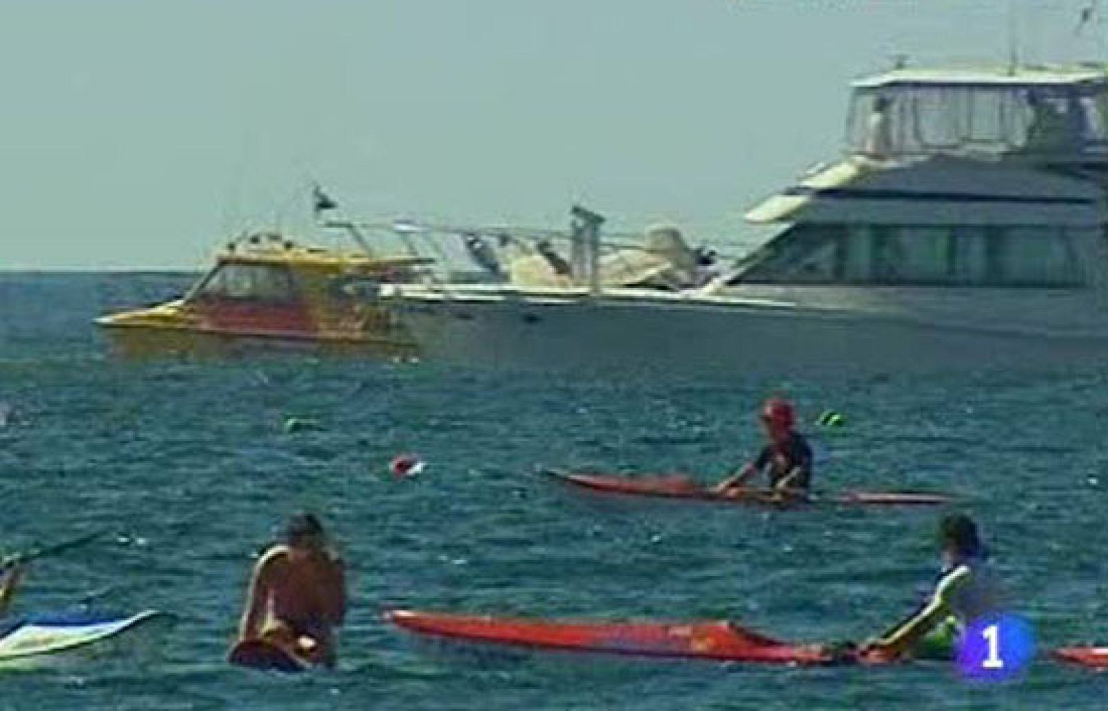 Más de 700 nadadores participaban en una competición en Australia cuando un grupo de tiburones ha empezado a perseguirles. 