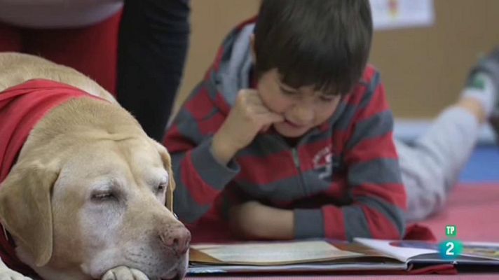 Página Dos - Perros y letras