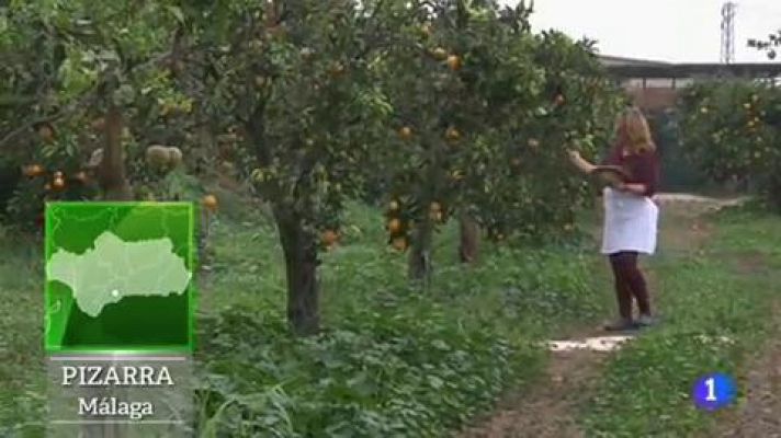 Aquí la Tierra - Mermelada de Kumquat y otras delicias