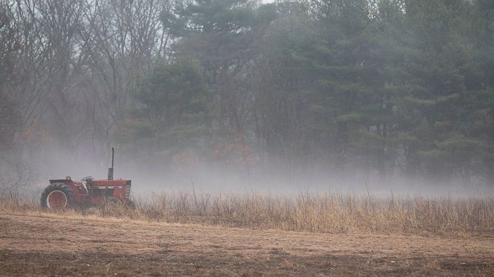 El tiempo - Temperaturas mínimas significativamente bajas en amplias zonas del interior peninsular