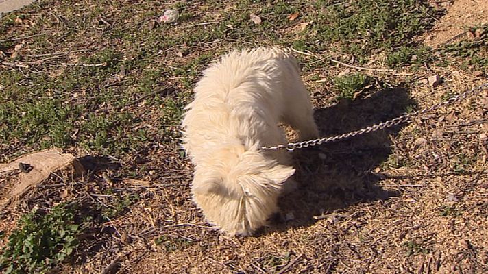 Informativo de Madrid - La Comunidad de Madrid en 4' - 23/02/18
