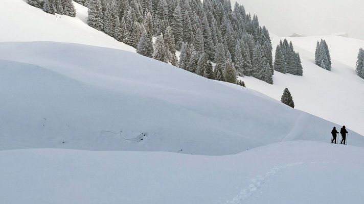 El tiempo - Temperaturas mínimas significativamente bajas en amplias zonas del interior peninsular