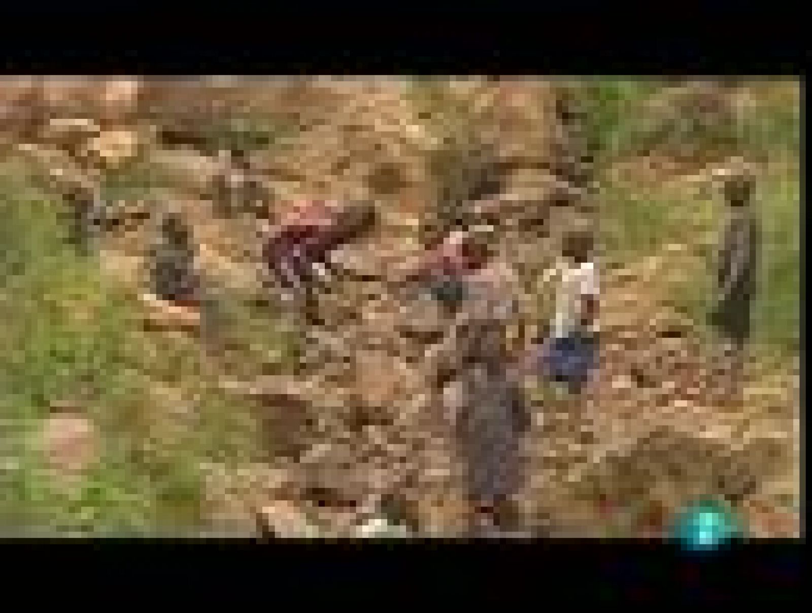 En portada: R.D. Congo. Minerales de guerra | RTVE Play