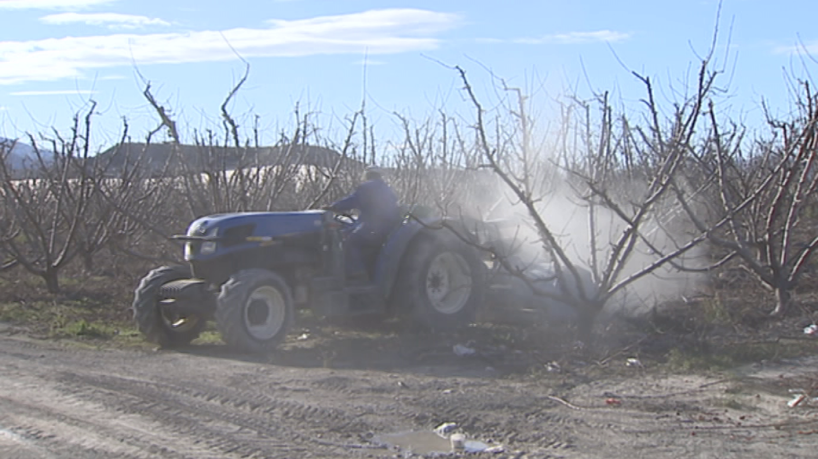 Agrosfera - 24/02/18 - ver ahora