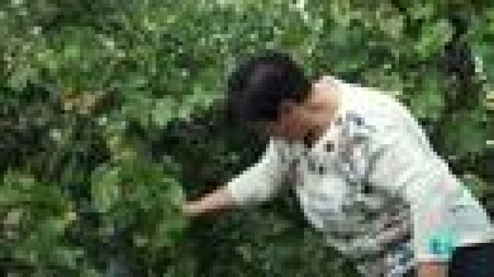 Las rutas Capone - Guiso de caparrones