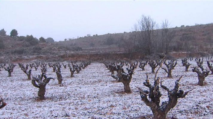 L'informatiu - Comunitat Valenciana - L'Informatiu - Comunitat Valenciana 2 - 27/02/18