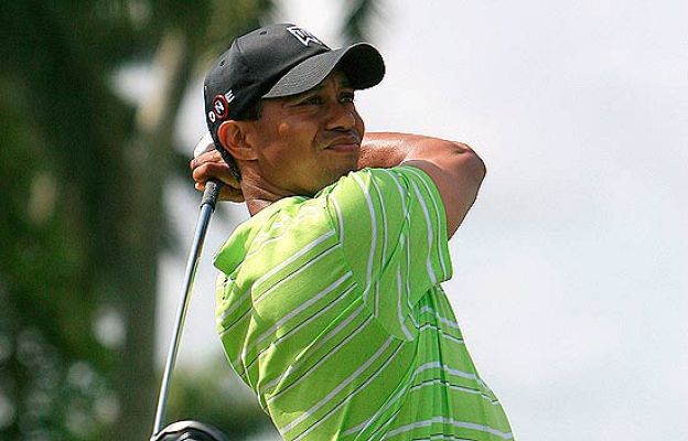  - Tiger no recupera la forma