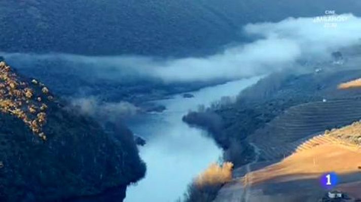 Aquí la Tierra - ¡Estos huevos son azules!