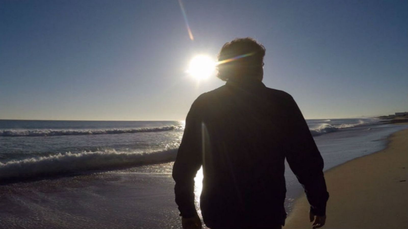 El Saler, arena y vida