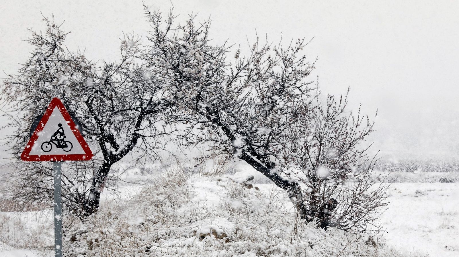 20H - 27/02/18 - ver ahora
