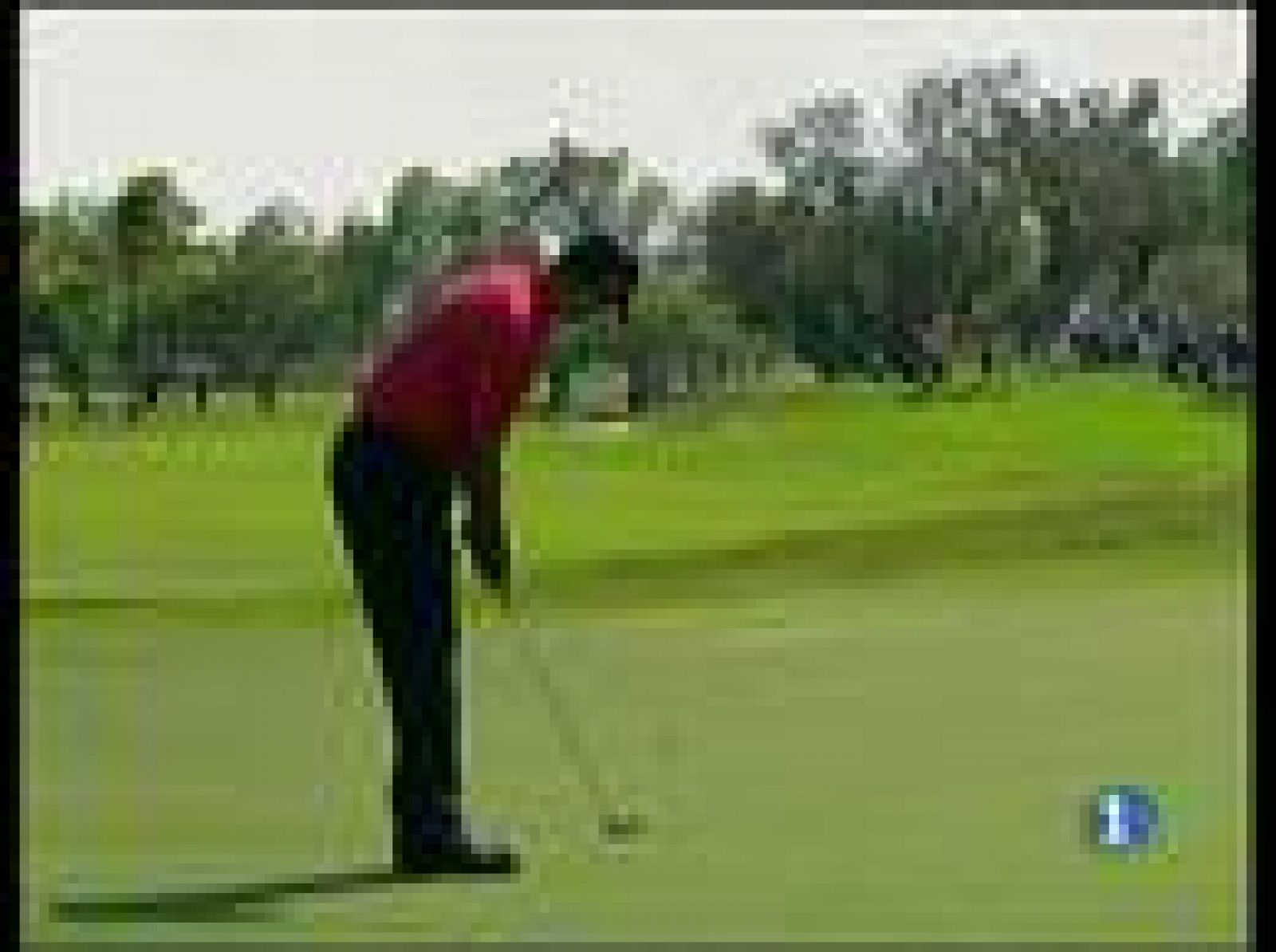 Los buenos también fallan | Ver