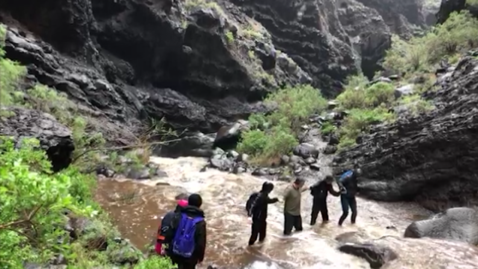 Canarias en 2' - 26/02/2018