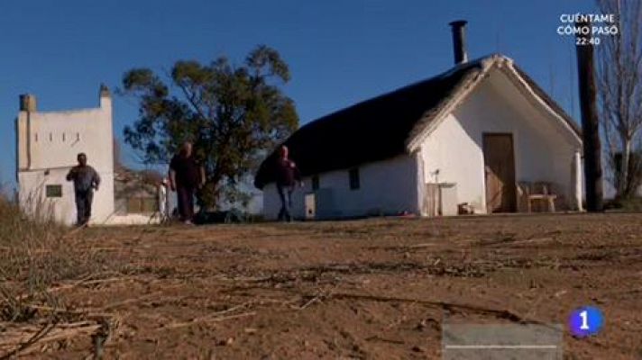 Aquí la Tierra - Sombrillas que son para siempre