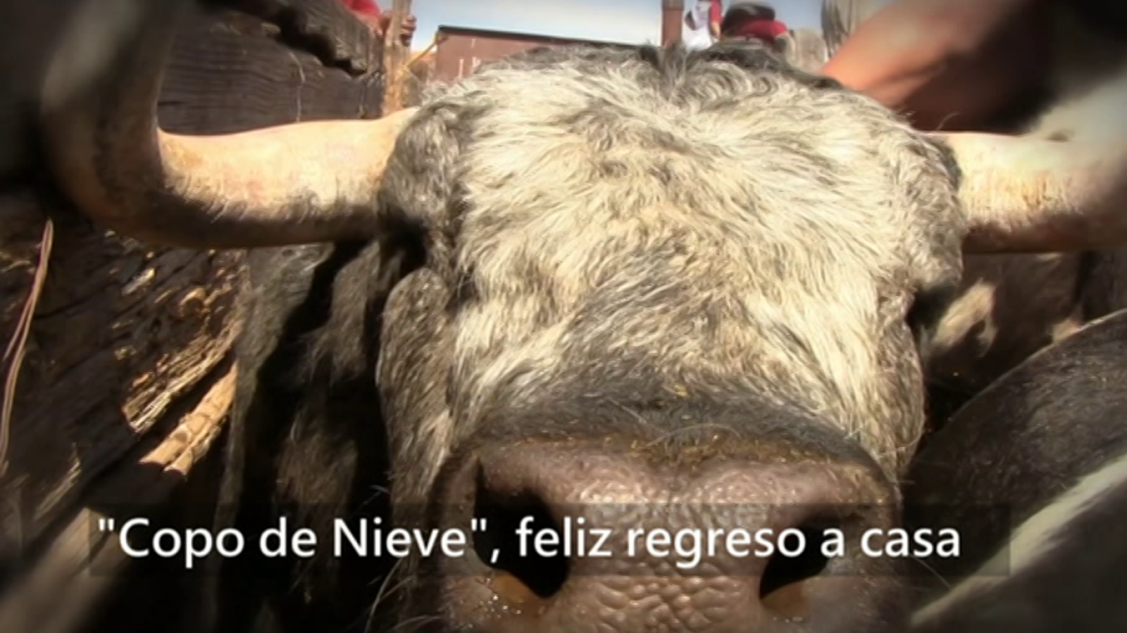 Tendido Cero - 03/03/18 - ver ahora