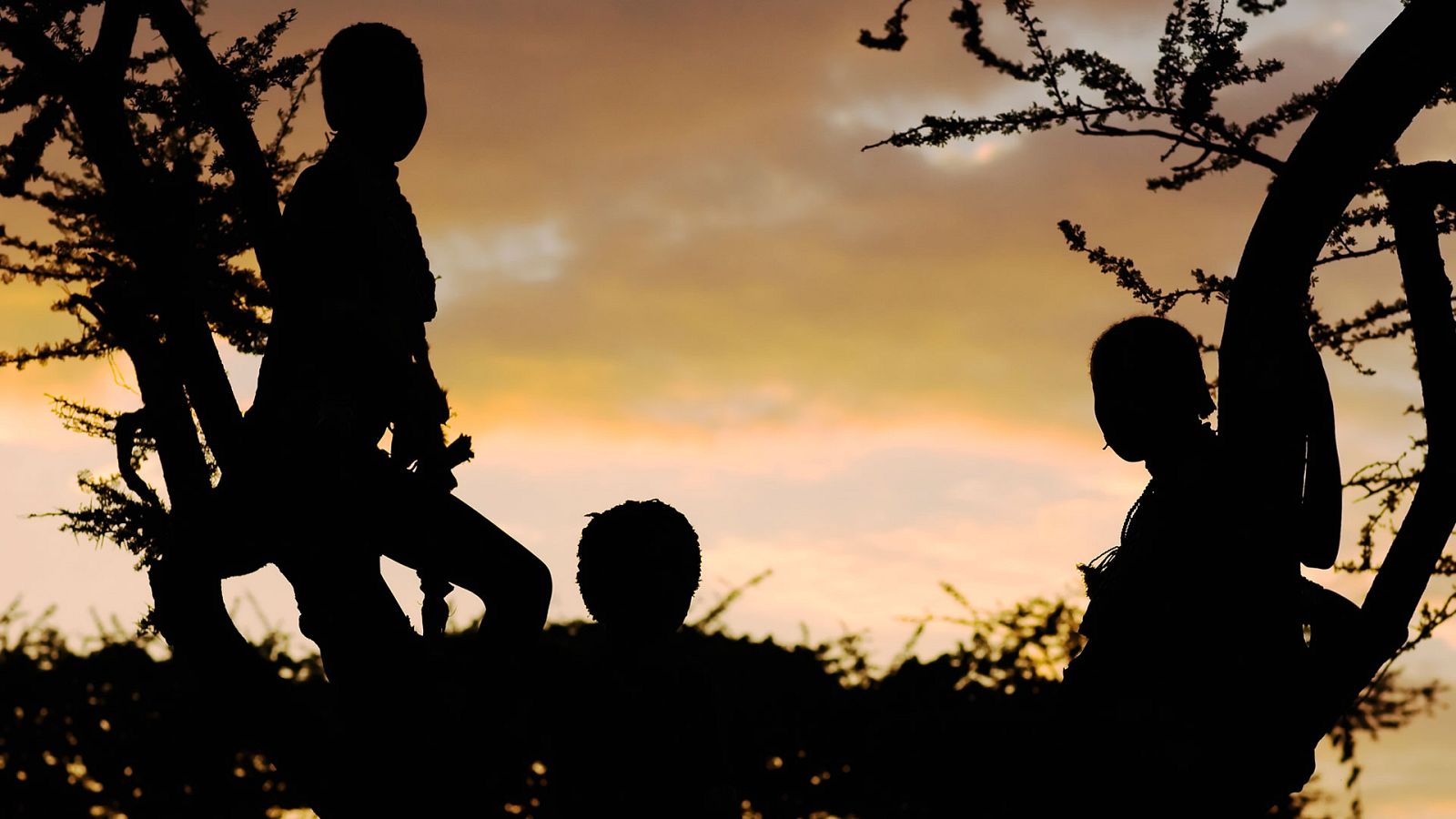 Otros documentales - La Tribu: aquí manda el hombre - ver ahora