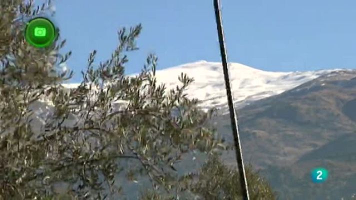 Agrosfera - Nigüelas