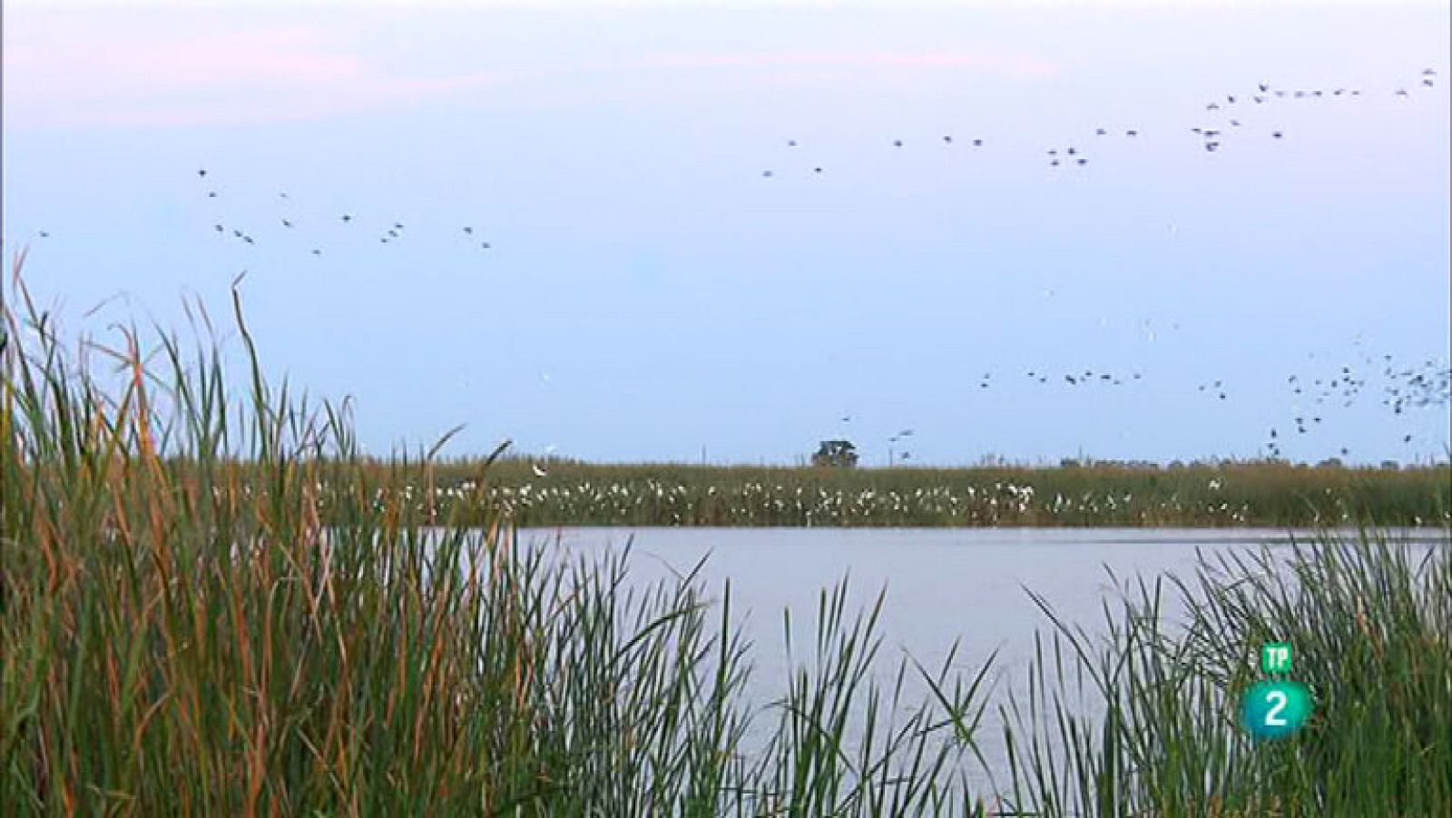 La Aventura del Saber. Delta Birding Festival