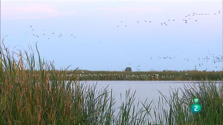La aventura del Saber - Delta Birding Festival