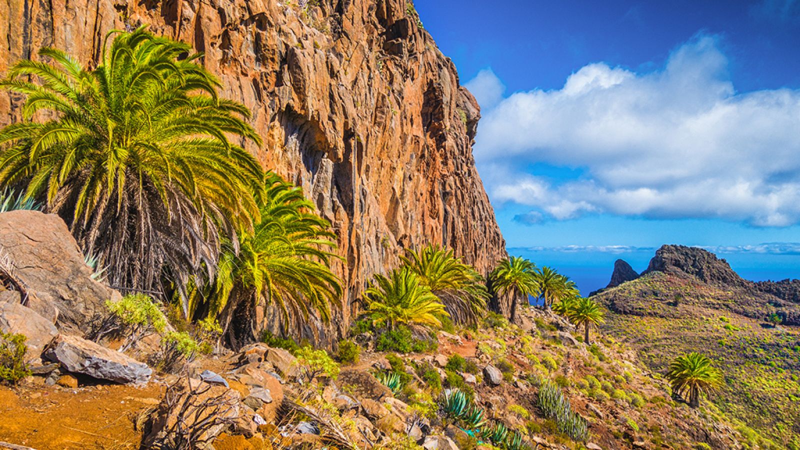 Grandes documentales - Las Islas Canarias: La vida en el límite - RTVE.es