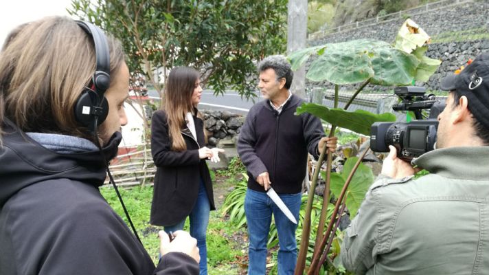 Aquí la Tierra - ¿Qué es el ñame?