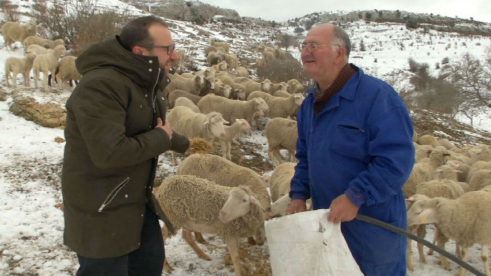 Eladio y su pequeño rebaño