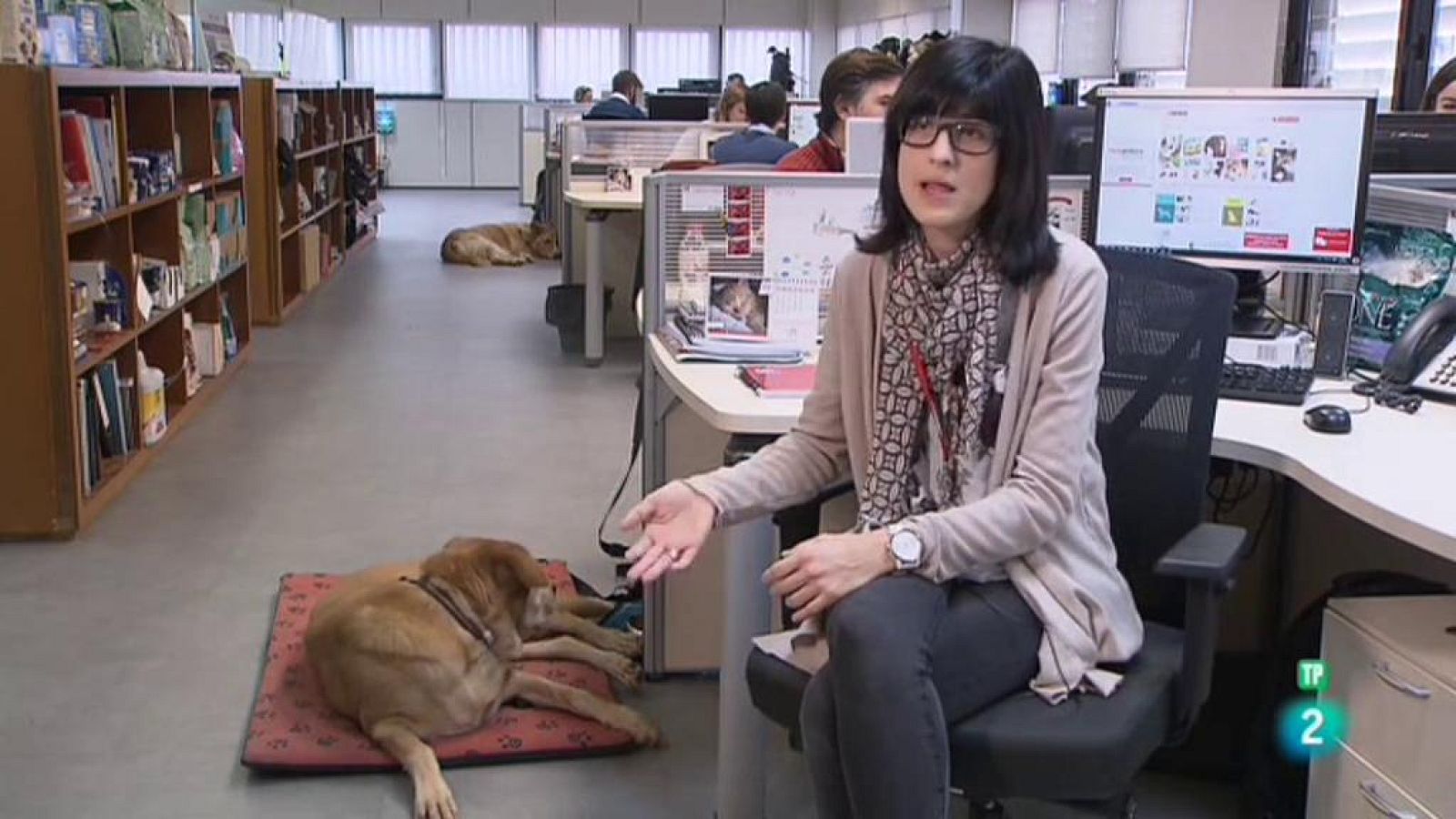 Tinc una idea - Un més de casa: animals amb companyia