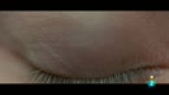 Días de cine - Cine en casa: 'Blade Runner 2019' y 'Kedi' (Gatos de Estambul)