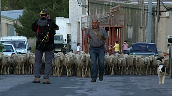 Espacios naturales - Trashumancia al Mediterráneo