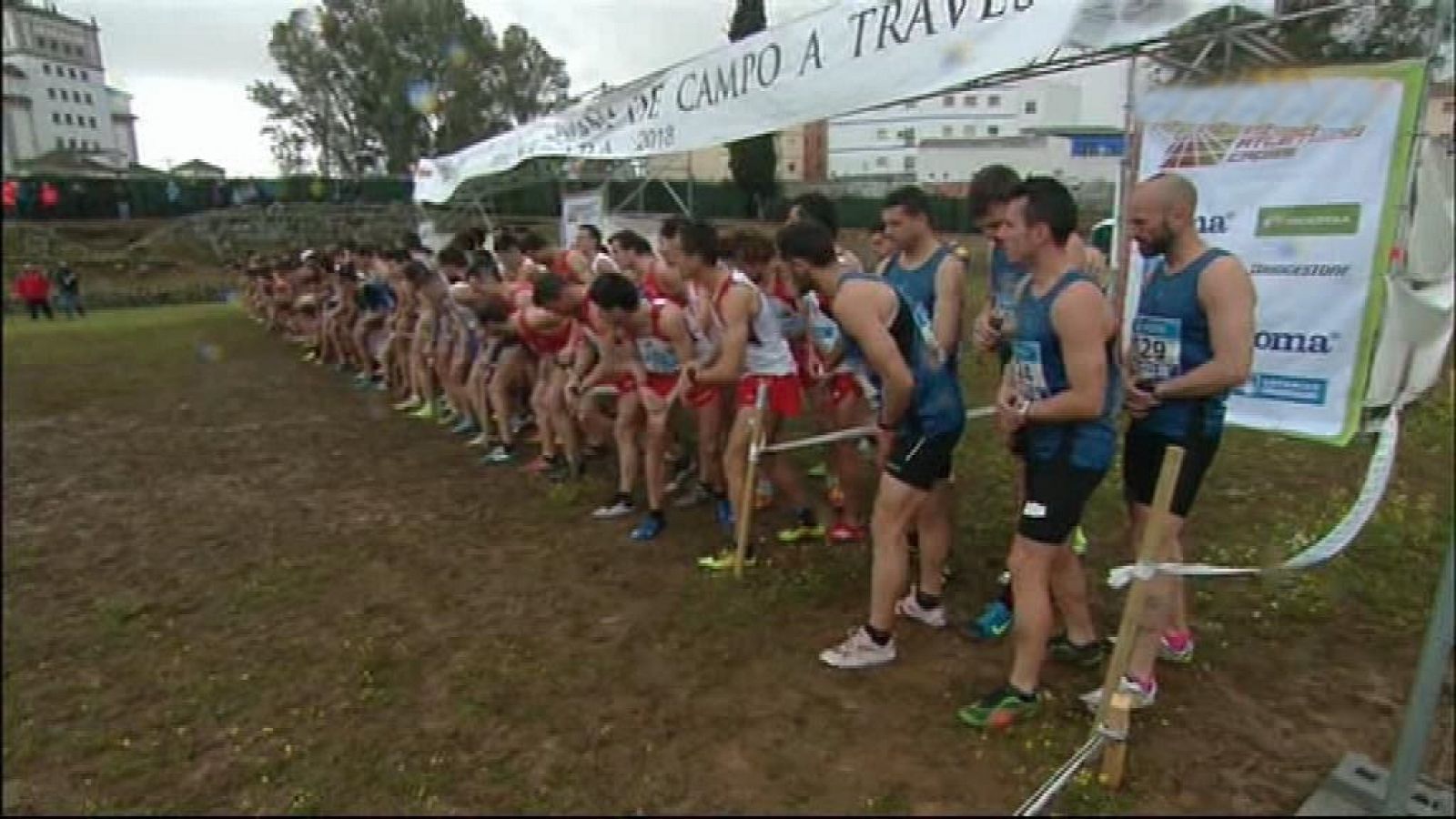 Cross - Campeonato de España. Carrera Absoluta masculina