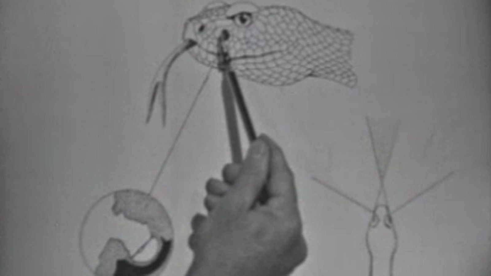 El planeta azul: El mundo de las serpientes | RTVE Play