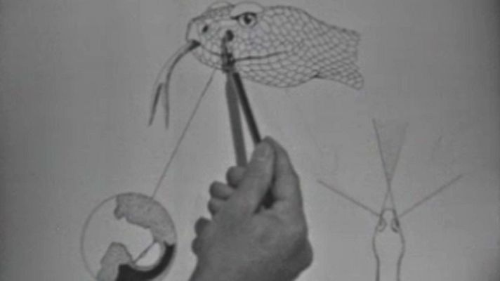 El mundo de las serpientes