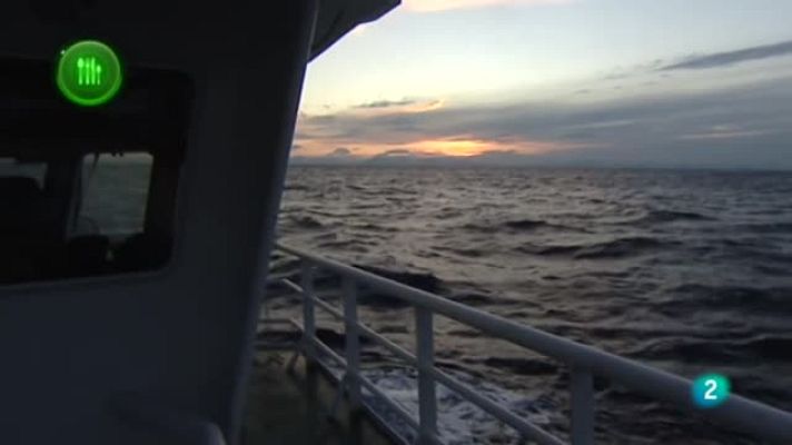 Agrosfera - Bacalao Skrei