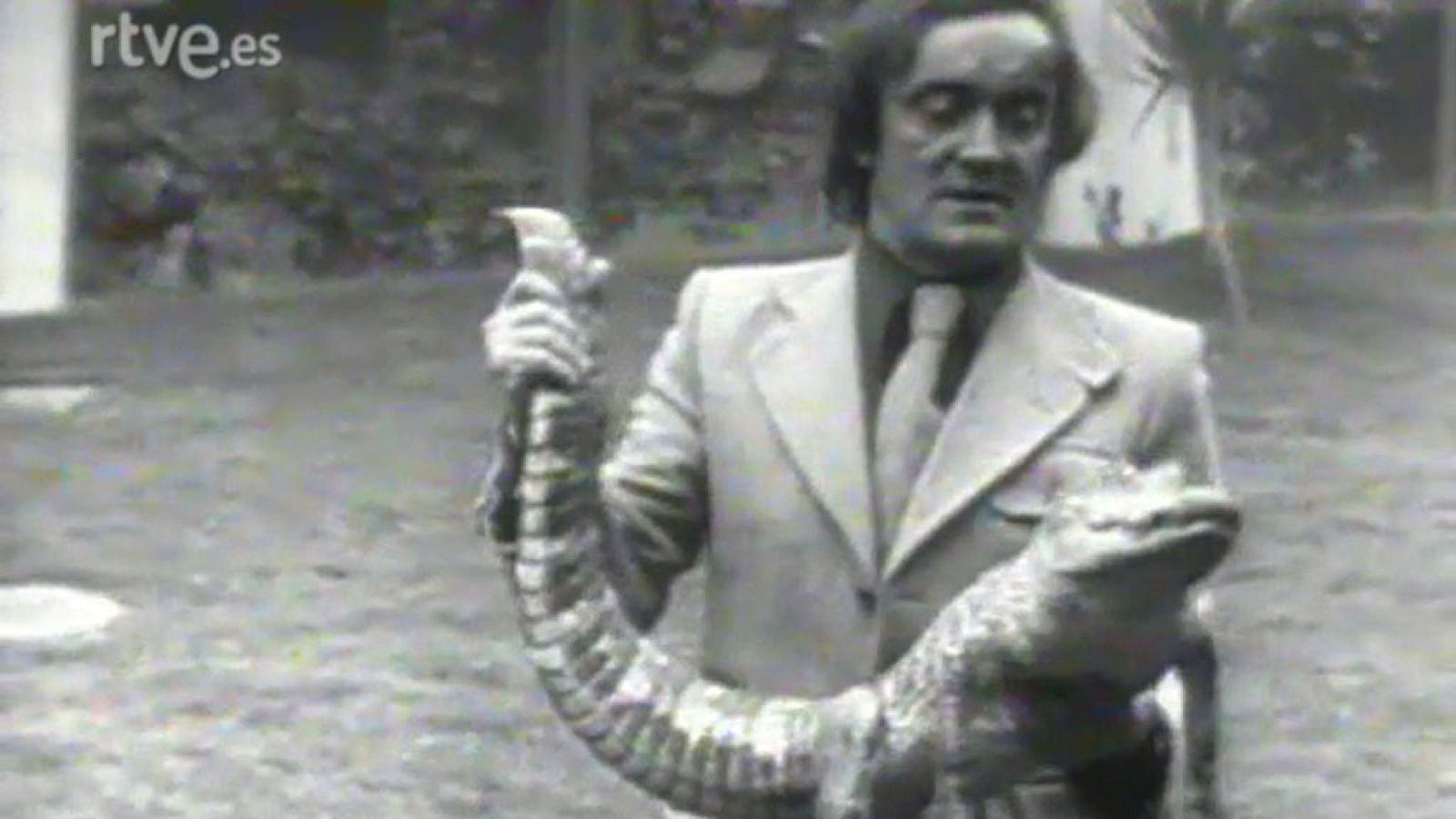 El planeta azul: Los dragones | RTVE Play