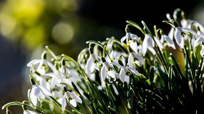 Informativo de Madrid - El Tiempo en la Comunidad de Madrid - 13/03/18