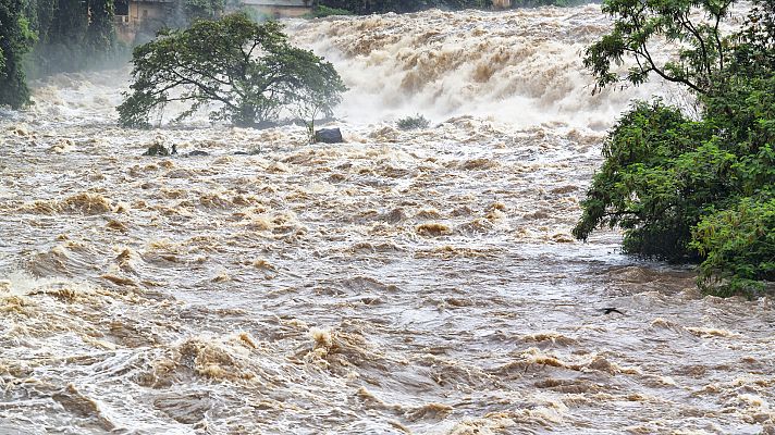 Territorios del monzón: el diluvio