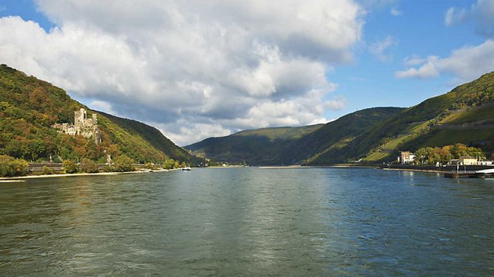 La isla de Rhinau, en la jungla del viejo Rin