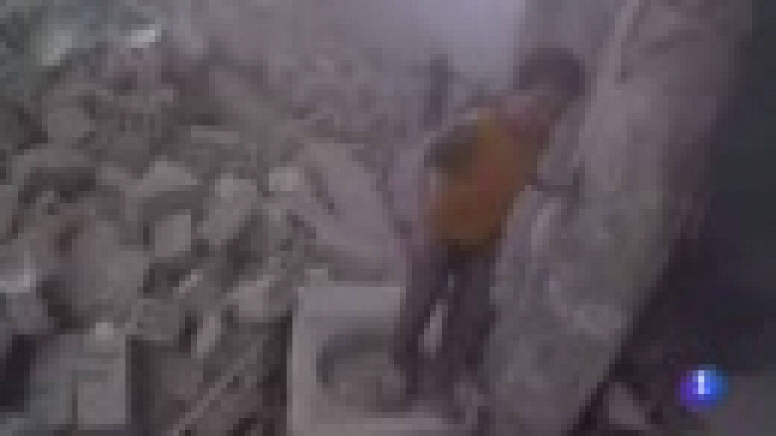 Se cumplen siete años de guerra en Siria | Ver