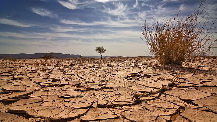 Territorios del monzón: la sequía