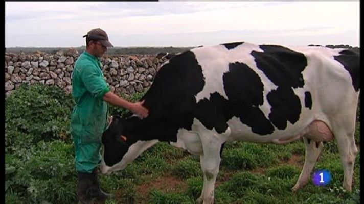 Informatiu Balear - Fira del Camp d'Alaior.