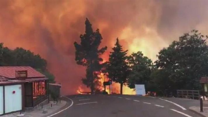 Telecanarias - Telecanarias - 16/3/2018