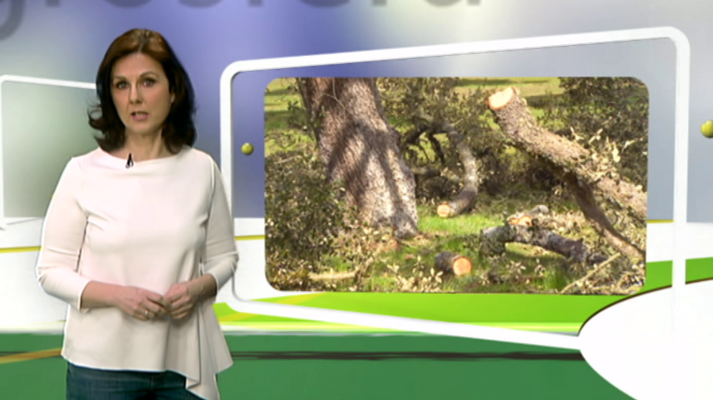 Agrosfera - Agrosfera - 17/03/18