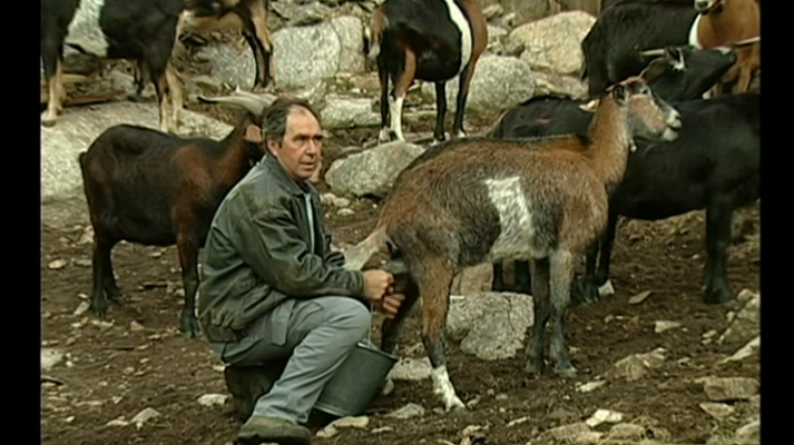 Espacios naturales - Cabreros trashumantes extremeños. Valle del Jerte