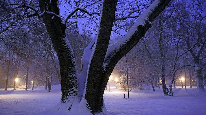 El tiempo - Cielos nubosos o cubiertos con precipitaciones que podrán ser localmente fuertes