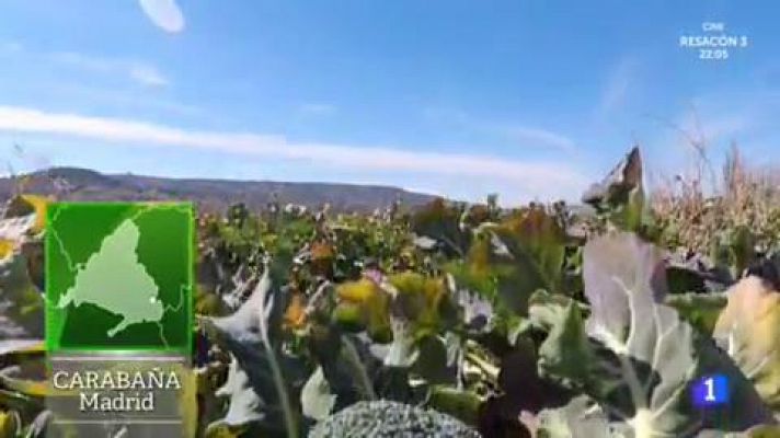 Paseamos con Mar Saura por huerta Carabaña