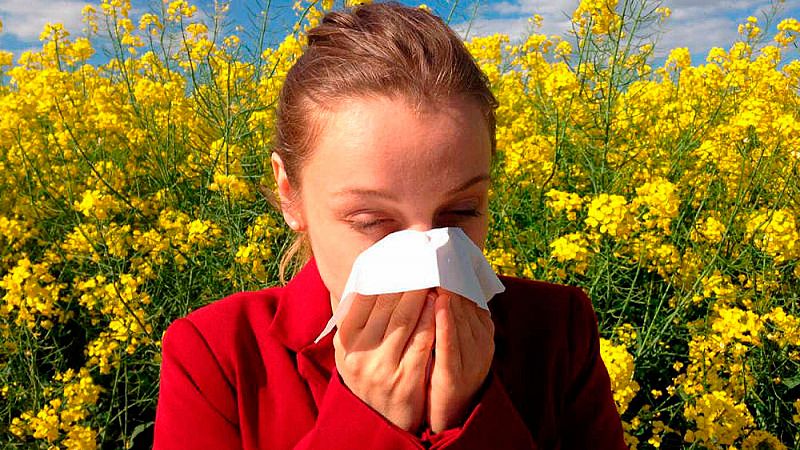 Los alérgicos al polen se enfrentan a una primavera de intensidad moderada