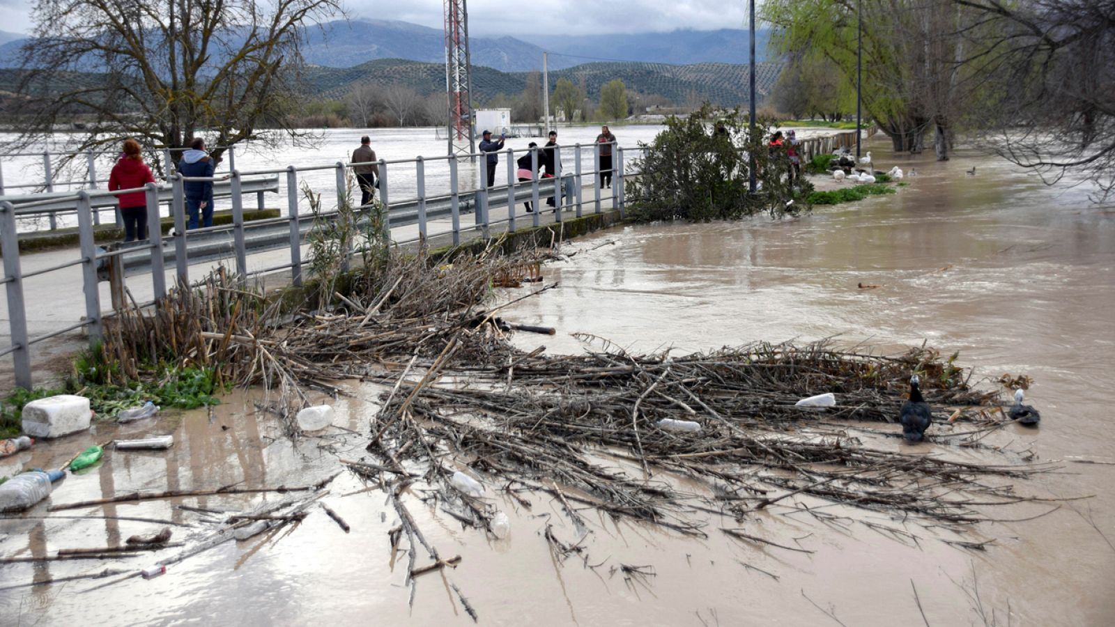 El temporal de nieve, lluvia y viento provoca daños en Andalucía