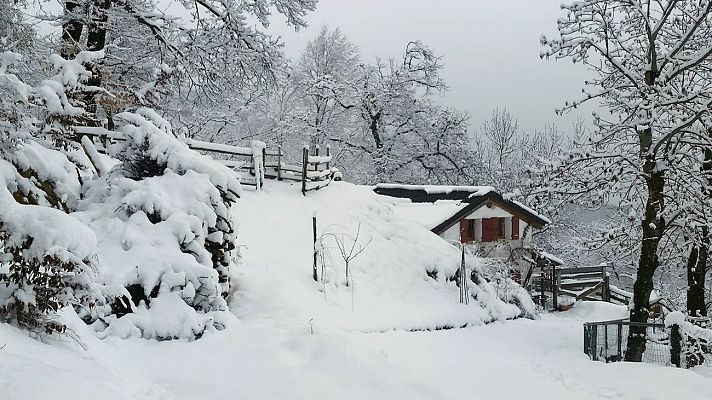 Telediario 1 - El temporal de nieve complica la circulación de las carreteras por todo el país