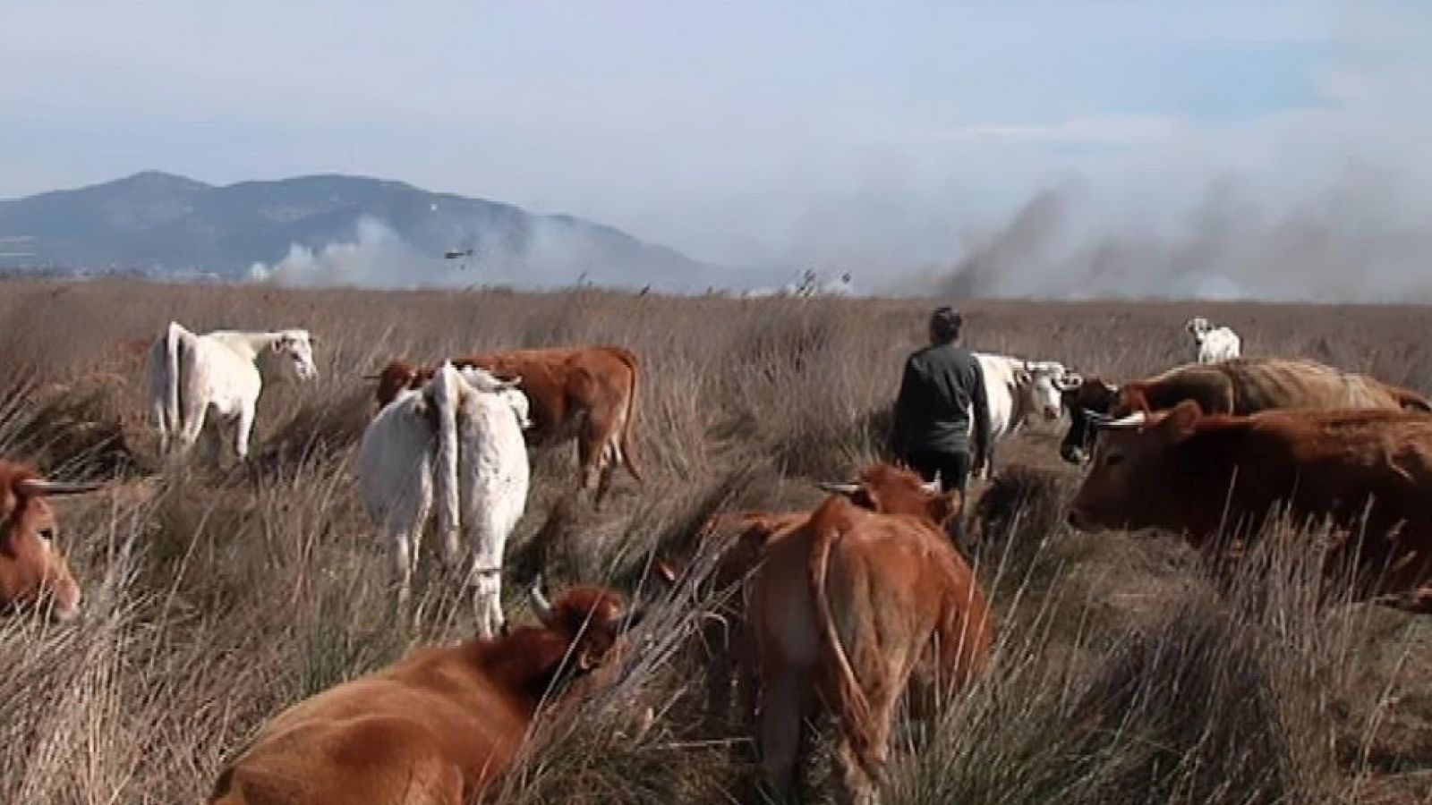 La Comunidad Valenciana en 2' - 21/03/18 - ver ahora