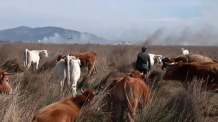 L'informatiu - Comunitat Valenciana - La Comunidad Valenciana en 2' - 21/03/18